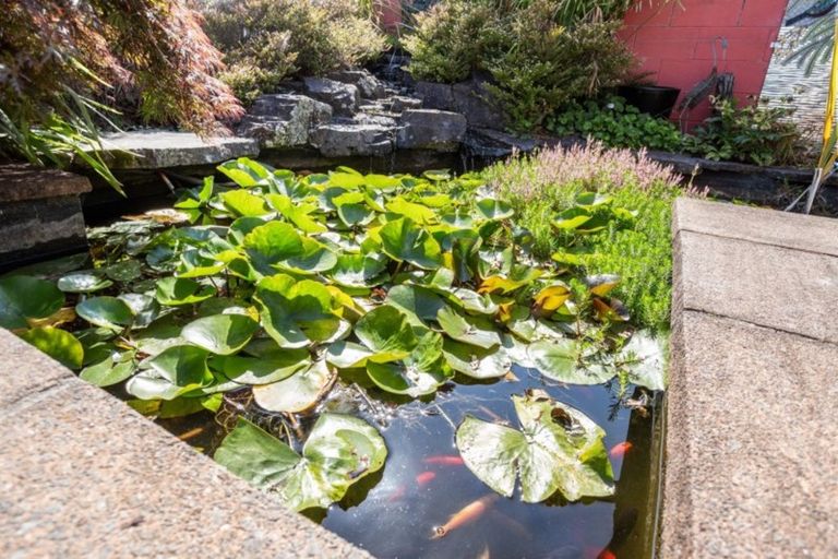 Photo of property in 62b Levley Lane, Katikati, 3129