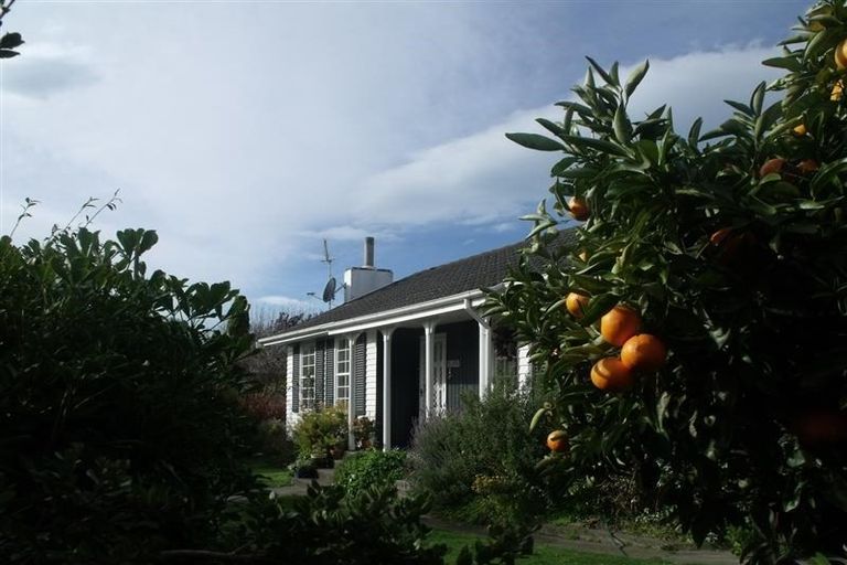 Photo of property in 1 James Cook Street, Havelock North, 4130