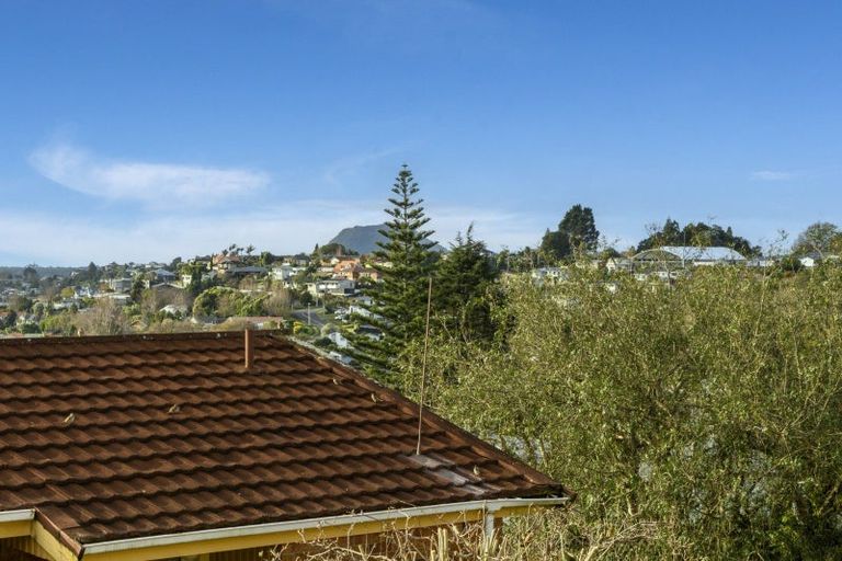 Photo of property in 1/24 Upland Street, Brookfield, Tauranga, 3110