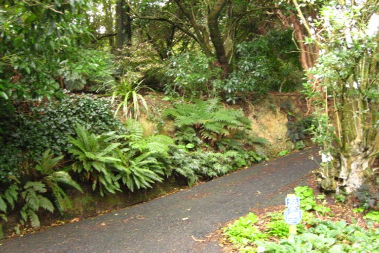 Photo of property in 255 Upper Junction Road, Sawyers Bay, Port Chalmers, 9023