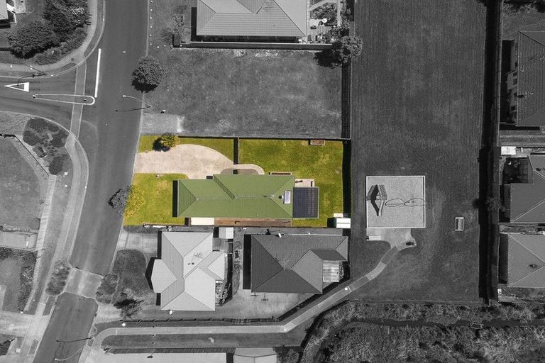 Photo of property in 40 Solomon Street, Brookfield, Tauranga, 3110