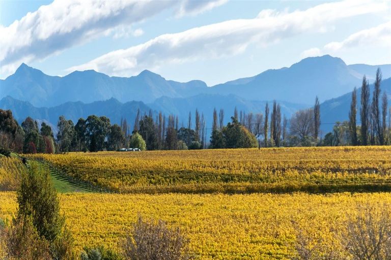 Photo of property in 31 Nikau Drive, Redwoodtown, Blenheim, 7201