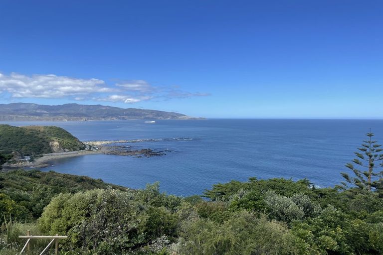 Photo of property in 213 Buckley Road, Southgate, Wellington, 6023