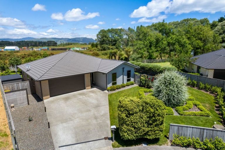 Photo of property in 12 Dow Chung Place, Otaki, 5512