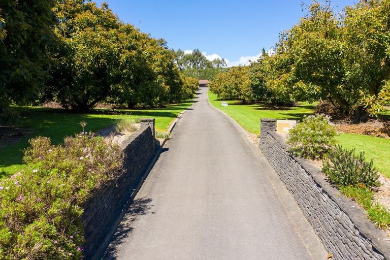 Photo of property in 237b Busby Road, Tahawai, Katikati, 3170