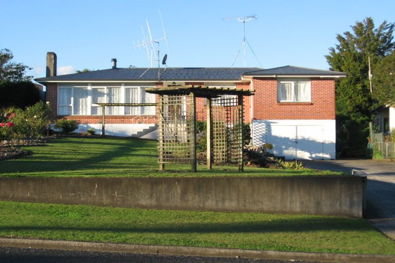 Photo of property in 50 Totara Street, Putaruru, 3411