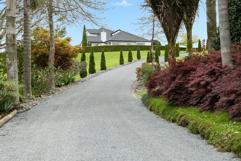 Photo of property in 567b Esdaile Road, Whakamarama, Tauranga, 3180