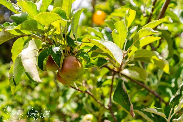 Photo of property in 96 Atkin Road, Mangawhai, Kaiwaka, 0573