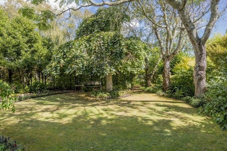 Photo of property in 18 Graham Street, Levin, 5510