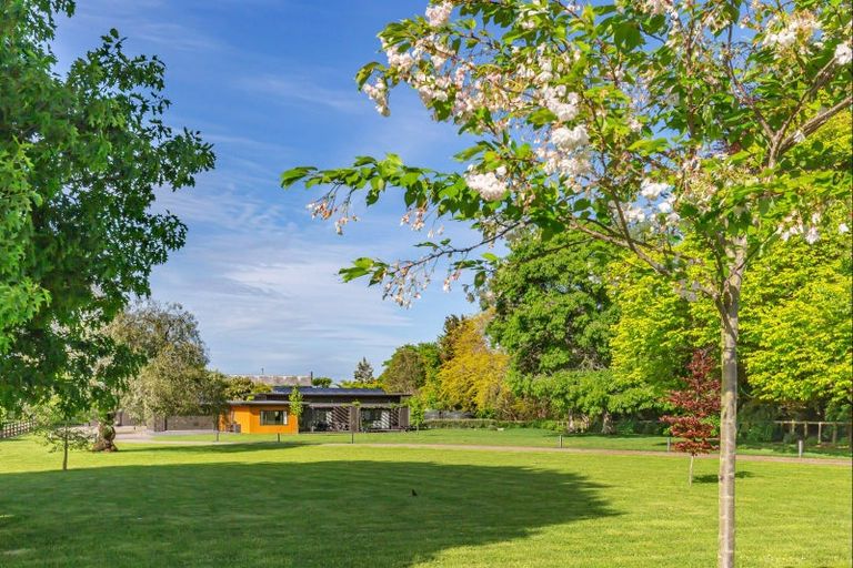 Photo of property in 19 Lindsay Road, Levin, 5510