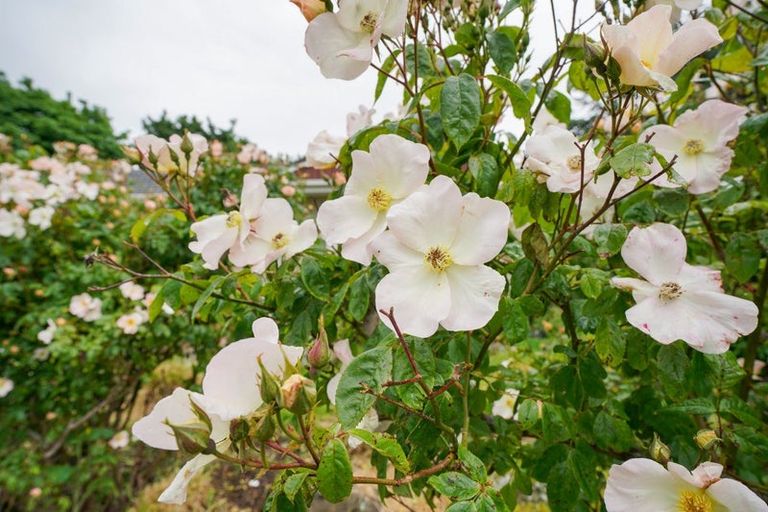 Photo of property in 134 East Road, Ascot, Invercargill, 9871