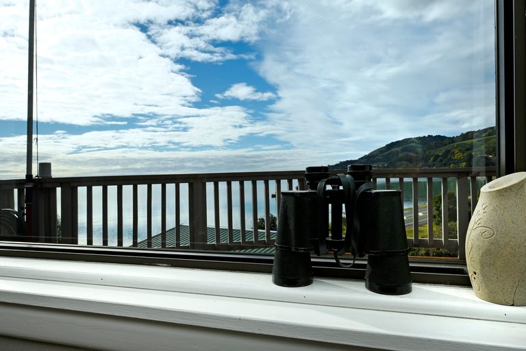 Photo of property in 3 Paremata Street, Atawhai, Nelson, 7010