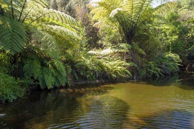 Photo of property in 42 Manu Grove, Waikanae, 5036