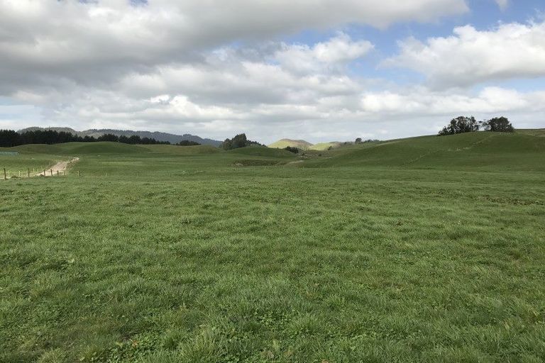 Photo of property in 274 Whakapapa Road, Ohakuri, Reporoa, 3083