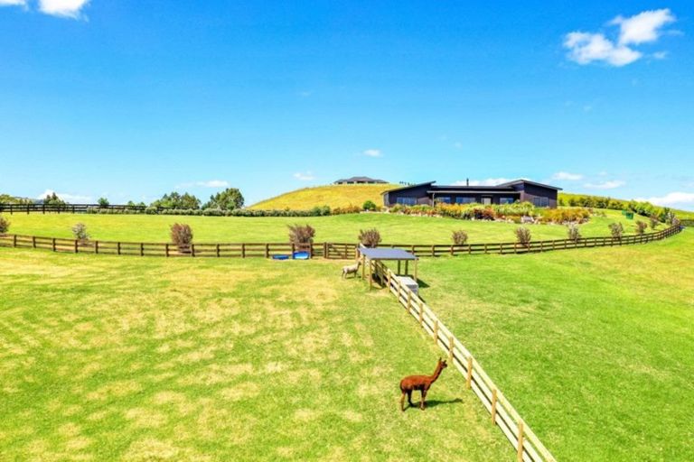 Photo of property in 116a Mimiha Ridge Road, Matata, Whakatane, 3194