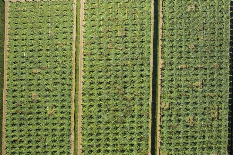 Photo of property in 121 Macdonald Road, Te Teko, Whakatane, 3192