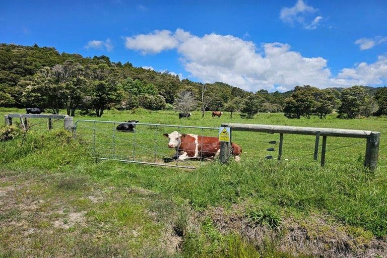 Photo of property in 241a Hailes Road, Whananaki, 0181