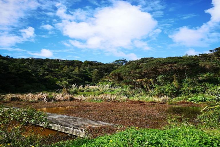 Photo of property in 26 Pacific Bay Road, Tutukaka, Whangarei, 0173