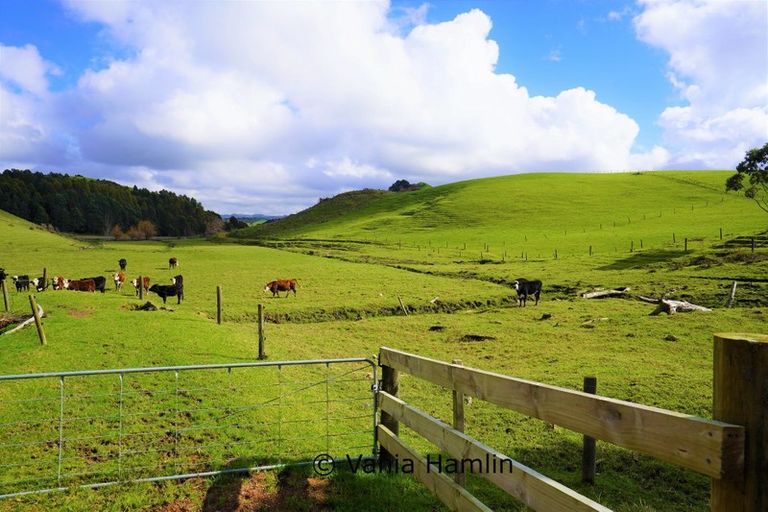 Photo of property in 533 Pataua South Road, Pataua South, Onerahi, 0192