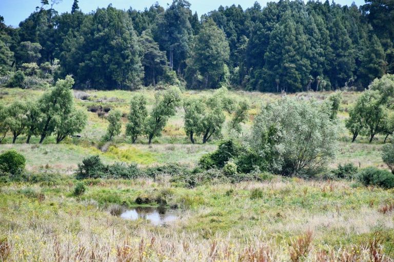 Photo of property in 216 Kongahu Swamp Road, Little Wanganui, Karamea, 7893