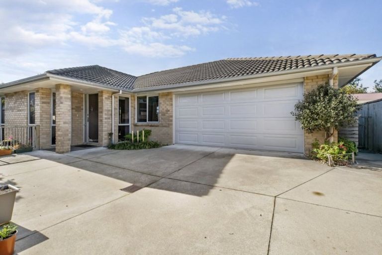 Photo of property in 261a Maungatapu Road, Maungatapu, Tauranga, 3112