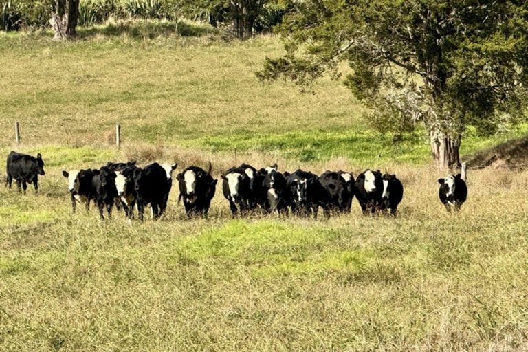 Photo of property in 967 Golden Stairs Road, Taipuha, Maungaturoto, 0589