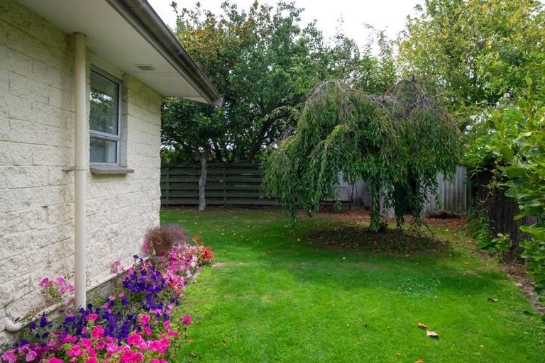 Photo of property in 11 Edith Street, Redwoodtown, Blenheim, 7201