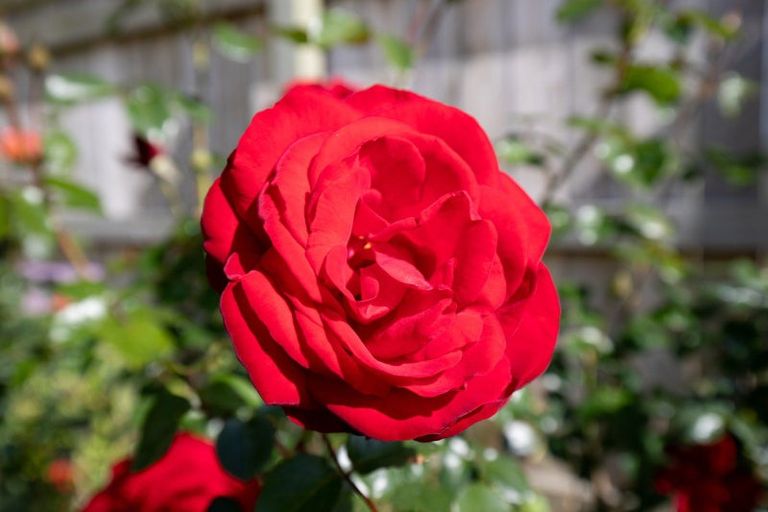 Photo of property in 29 Mahana Road, Ngatea, 3503