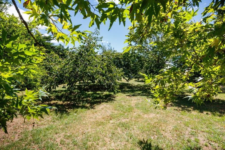 Photo of property in 265 Taonui Road, Aorangi, Feilding, 4775