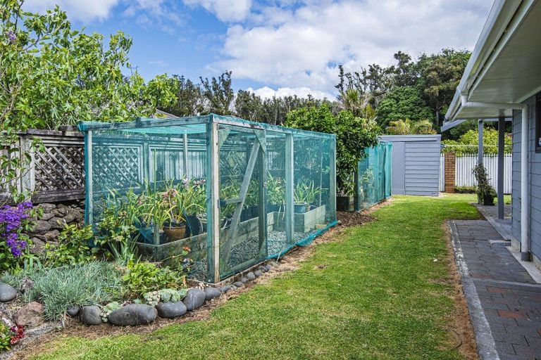 Photo of property in 249 Fairway Drive, Te Kamo, Whangarei, 0112