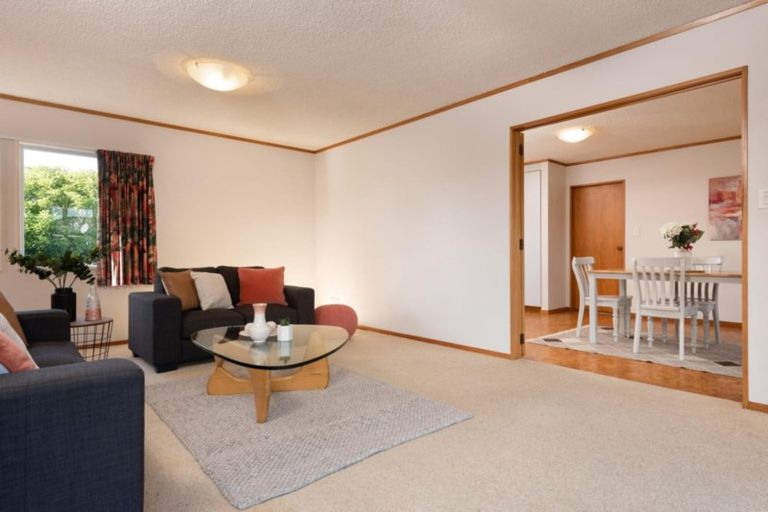 Photo of property in 205 Grenada Street, Mount Maunganui, 3116