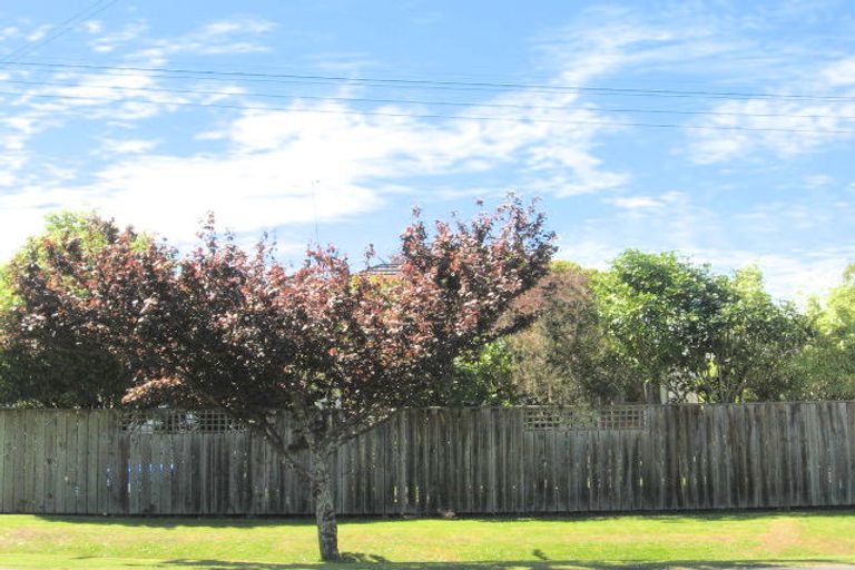 Photo of property in 203 Harris Street, Inner Kaiti, Gisborne, 4010