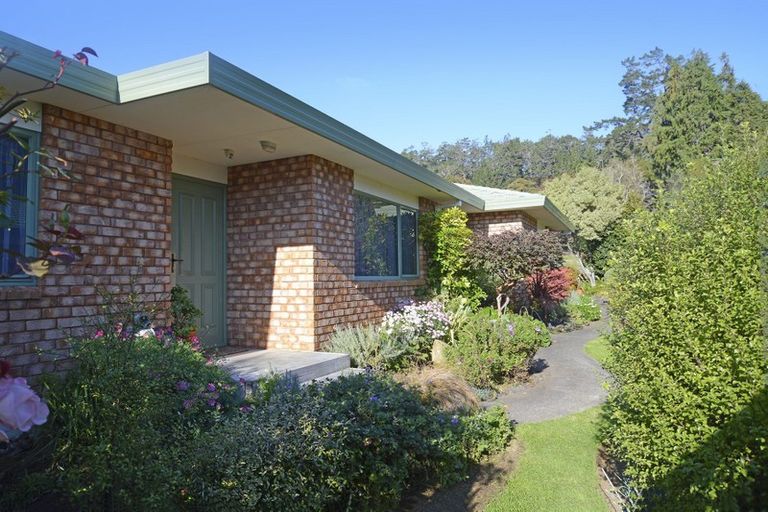 Photo of property in 17 Barry Road, Waihi, 3610