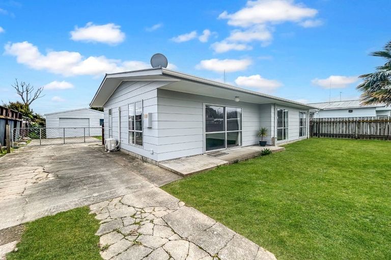 Photo of property in 20 Strathmore Avenue, Levin, 5510