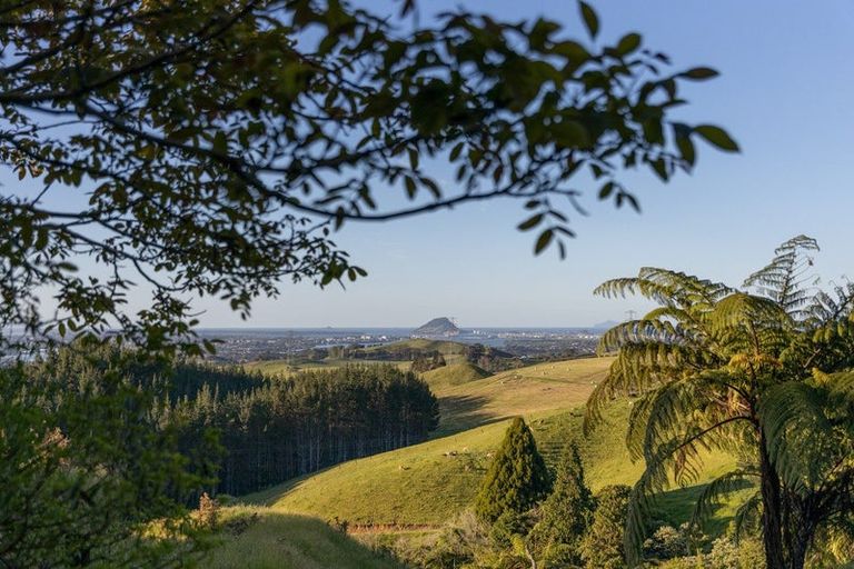 Photo of property in 565c Upper Ohauiti Road, Ohauiti, Tauranga, 3173