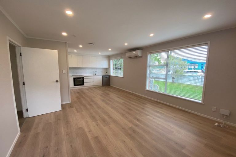 Photo of property in 1/11 Moa Road, Point Chevalier, Auckland, 1022