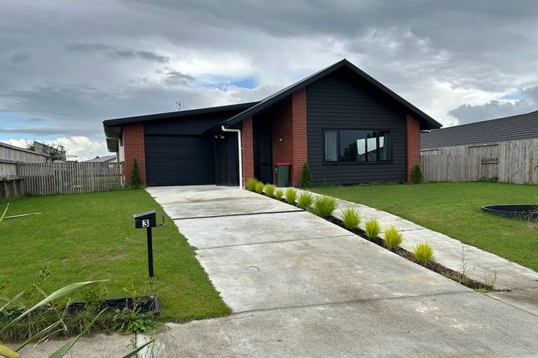 Photo of property in 3 Whakapono Avenue, Baverstock, Hamilton, 3200