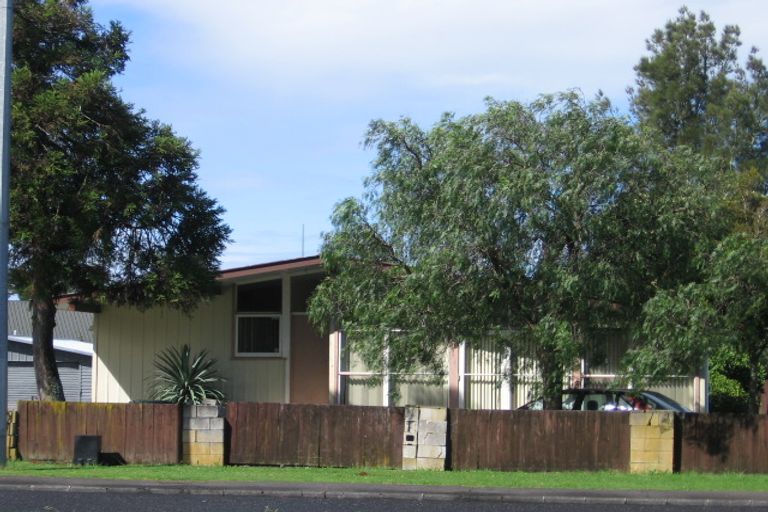 Photo of property in 103 Universal Drive, Henderson, Auckland, 0610