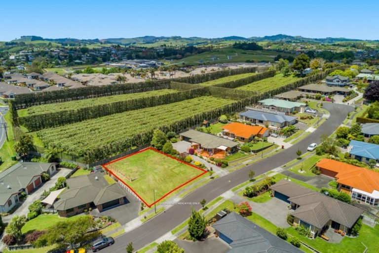 Photo of property in 7 Corwen Avenue, Hairini, Tauranga, 3112