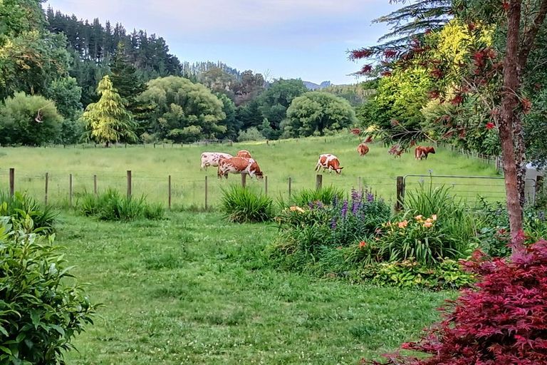 Photo of property in 46 Ruapapa Road, Frasertown, Wairoa, 4195