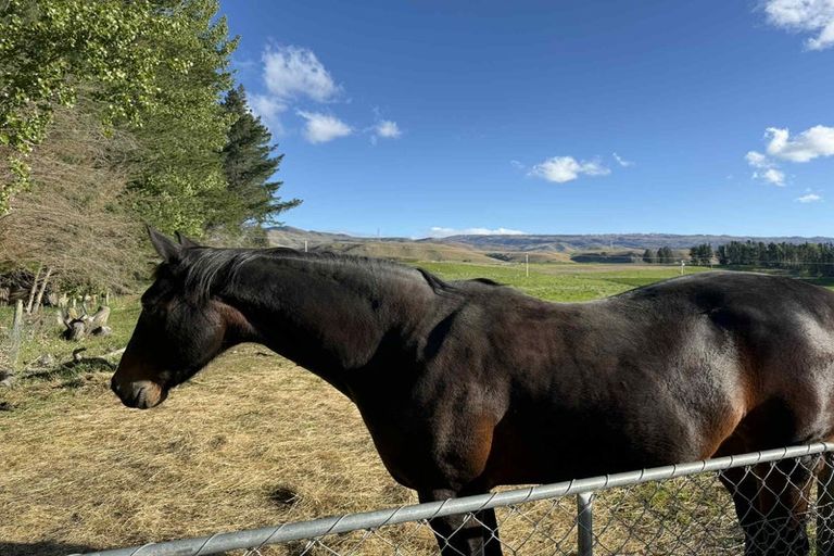 Photo of property in 633 Ardgour Road, Tarras, Cromwell, 9383