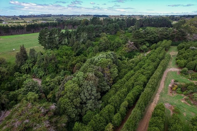 Photo of property in 229 Surrey Hill Road, Kaitake, New Plymouth, 4374