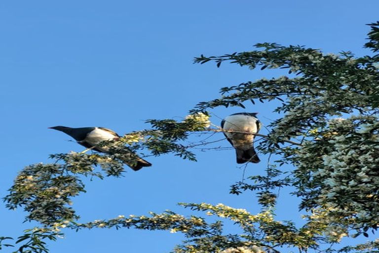 Photo of property in 55 Oxley Crescent, Broad Bay, Dunedin, 9014