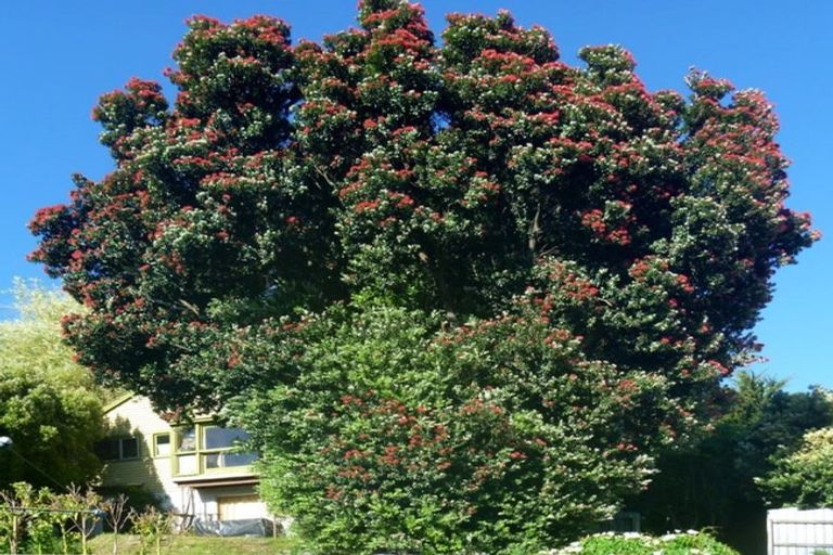 Photo of property in 175 Hackthorne Road, Cashmere, Christchurch, 8022