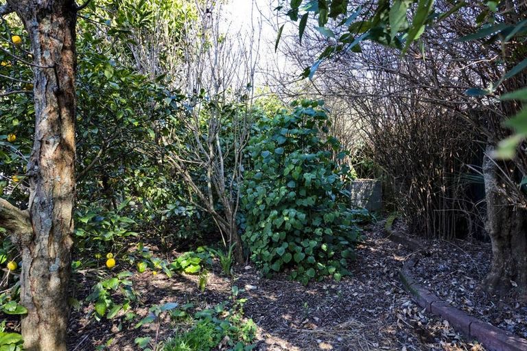 Photo of property in 57 Dixon Avenue, Hawera, 4610