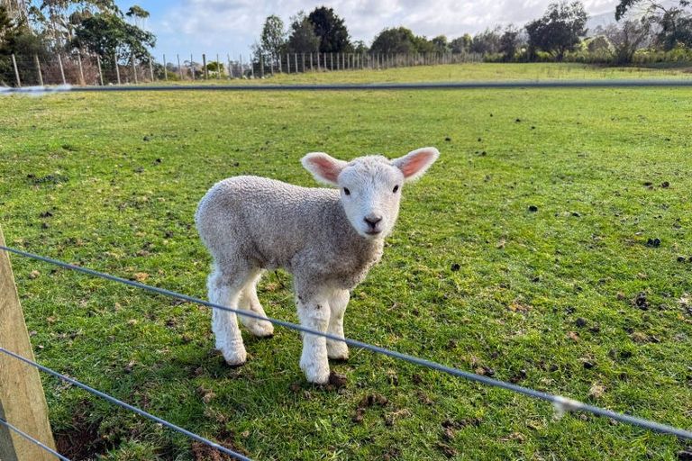 Photo of property in 76 Parenga Road, Hautere, Otaki, 5582