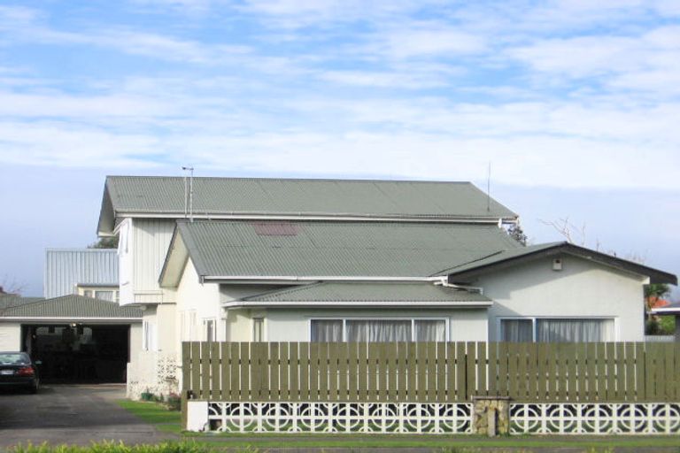 Photo of property in 28 Napier Road, Terrace End, Palmerston North, 4410