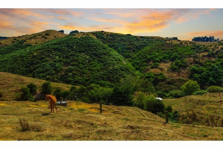 Photo of property in 94b Wilton Collieries Road, Glen Massey, Ngaruawahia, 3794