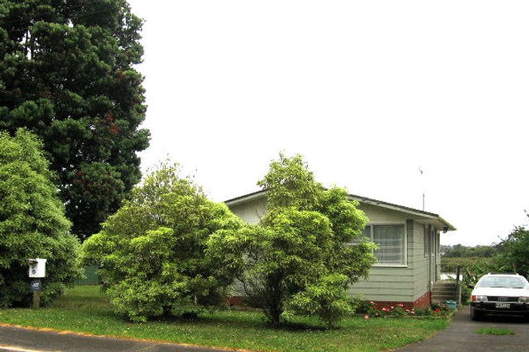 Photo of property in 45 Mataroa Road, Mount Wellington, Auckland, 1062
