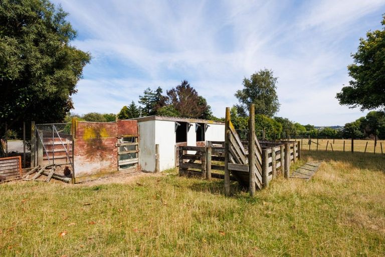 Photo of property in 44 Arnott Street, Maewa, Feilding, 4702